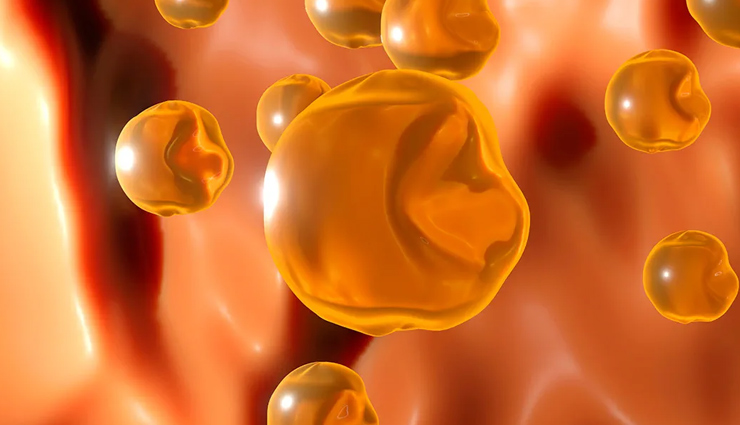 5 Food Items That Can Help You Lower Your Cholesterol