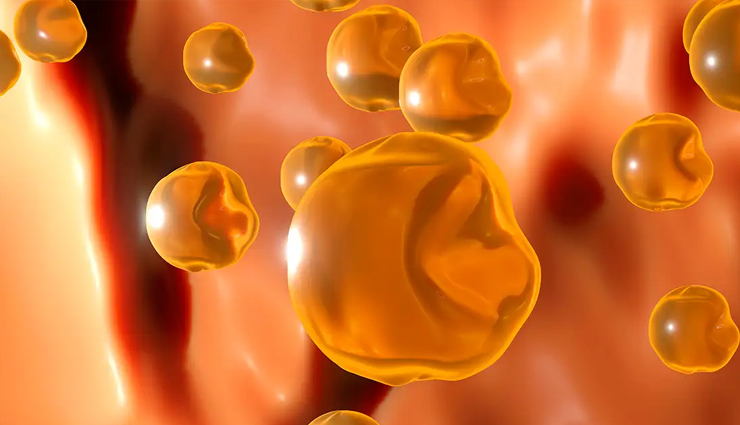 30 दिनों तक करे इस चीज का सेवन, कैंसर, डायबिटीज समेत ये बीमारियां रहेंगी आपसे दूर health benefits of ginger,ginger health advantages,ginger medicinal properties,ginger for health,benefits of consuming ginger,ginger positive effects on health,ginger health-promoting properties,ginger therapeutic benefits,ginger and its health perks,why ginger is good for health,ginger root benefits,anti-inflammatory properties of ginger,digestive benefits of ginger,immune-boosting effects of ginger,ginger for nausea relief,ginger and heart health,weight loss benefits of ginger,ginger antioxidant properties,ginger tea benefits,ginger and pain relief,ginger in traditional medicine,ginger supplements advantages,ginger role in reducing cholesterol,ginger for treating colds and flu,ginger impact on blood sugar levels