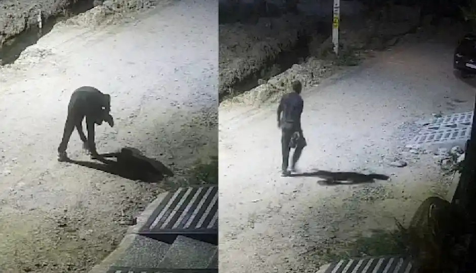 राजस्थान में अनोखी चोरी: घरों में घुसकर जूते ट्राई करता है चोर, फिट आए तो पहनकर हो जाता है फरार; कीमती सामान सुरक्षित छोड़ जाता है