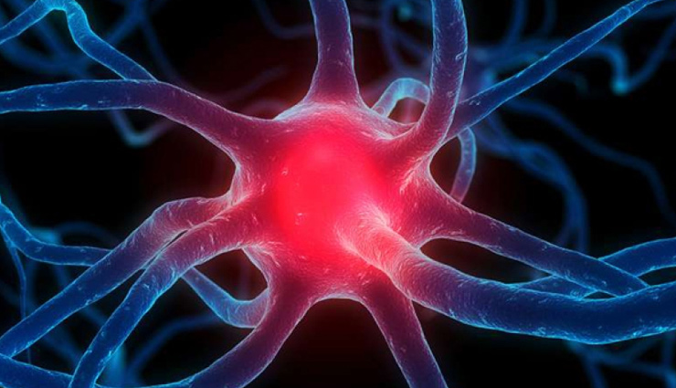 health benefits of gin,drinking gin in moderation,gin health benefits,moderate alcohol consumption benefits,antioxidants in gin,low calorie gin drink,digestive benefits of gin,gin anti-inflammatory properties,cardiovascular benefits of gin,gin juniper berries health,gin benefits for bloating,moderate gin consumption