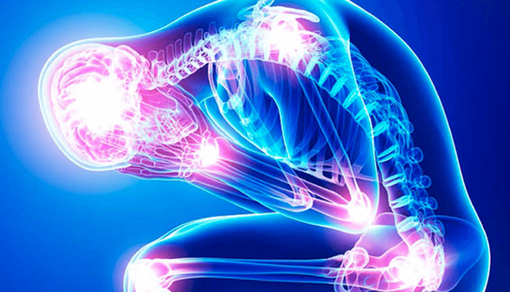 coconut meat nutrition facts,health benefits of coconut meat,rich in nutrients,high in dietary fiber,healthy fats (mcts),heart health,antioxidant properties,immune function,skin and hair health,recommended serving size,how to use coconut meat,incorporate coconut meat,creative ways to use coconut meat,nutrient content in coconut meat,saturated fats in coconut meat,medium-chain triglycerides (mcts),heart-healthy fats,dietary fiber and digestion,blood sugar regulation,weight management,free radicals and antioxidants,chronic disease risk,strong immune system,radiant skin,skincare benefits of coconut oil