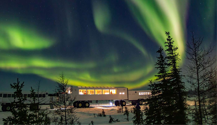 Canada's Northern Lights Haven: 300 Nights of Aurora Magic, Plus Polar Bears and Beluga Whales