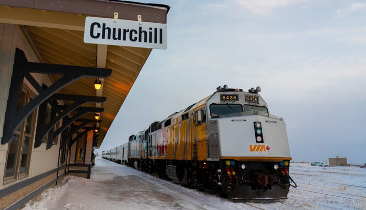 northern lights in canada,aurora magic,polar bears,beluga whales,churchill,manitoba,aurora viewing,wildlife encounters,canadian arctic,churchill tours,arctic adventures