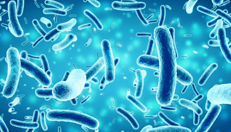 cinnamon health benefits,benefits of cinnamon,cinnamon and health,cinnamon for wellness,cinnamon spice benefits,cinnamon supplements,ceylon cinnamon health benefits,anti-inflammatory properties of cinnamon,blood sugar regulation with cinnamon,cinnamon extract benefits