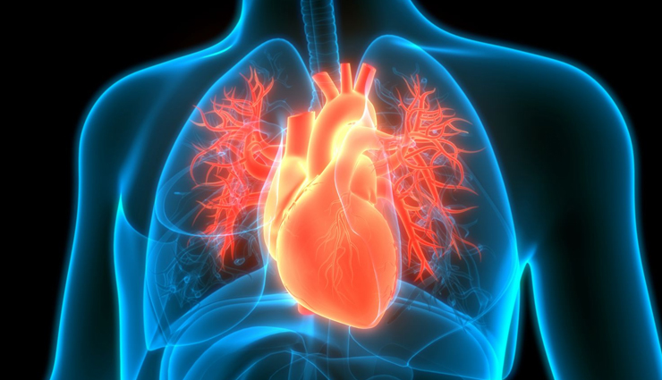 cinnamon health benefits,benefits of cinnamon,cinnamon and health,cinnamon for wellness,cinnamon spice benefits,cinnamon supplements,ceylon cinnamon health benefits,anti-inflammatory properties of cinnamon,blood sugar regulation with cinnamon,cinnamon extract benefits