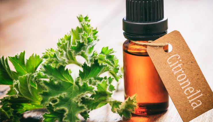 mosquito,mosquito bite,natural ingredients protect from mosquito bite,mosquitos,Health,Health tips