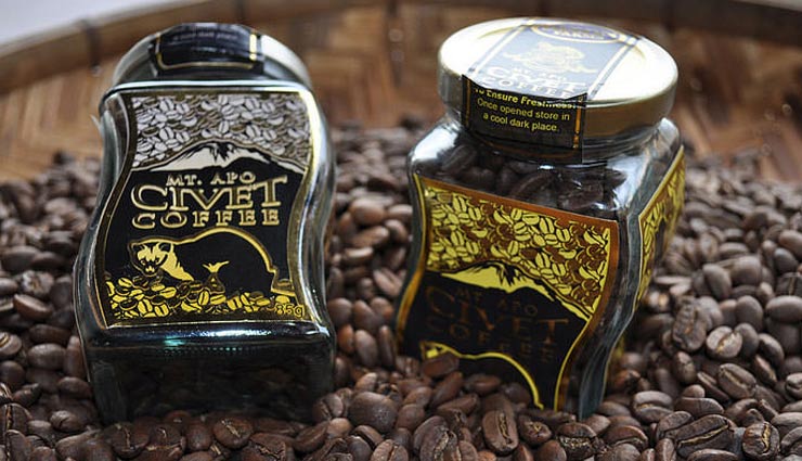 expensive food around the world,most expensive food,food,food around the world,italian white alba truffle,civet coffee,saffron,matsutake mushrooms,lobster frittata