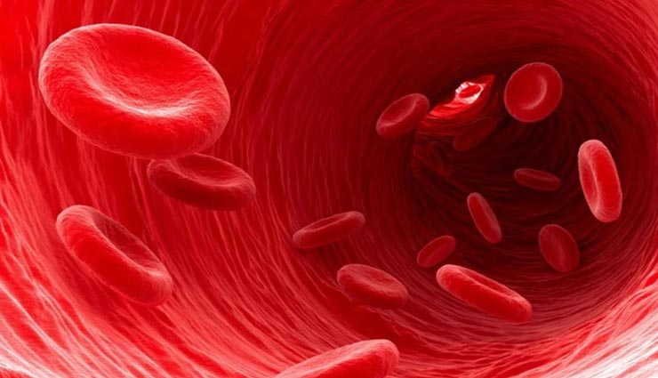 खून की सफाई होना बहुत जरूरी, आजमाए ये घरेलू उपचार