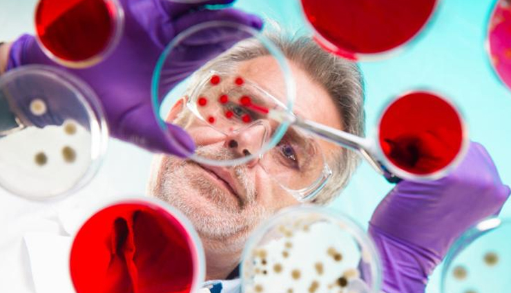 clove oil for kids,health benefits of clove oil,Health tips,fitness tips