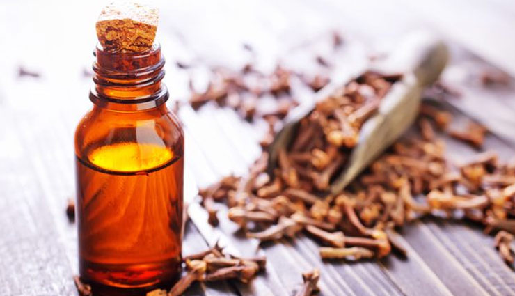 कई औषधि गुणों का भंडार है लौंग का तेल, इसको उपयोग करने के है कई फायदे, जाने