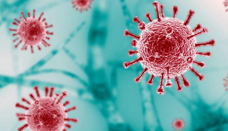 clove oil for kids,health benefits of clove oil,Health tips,fitness tips