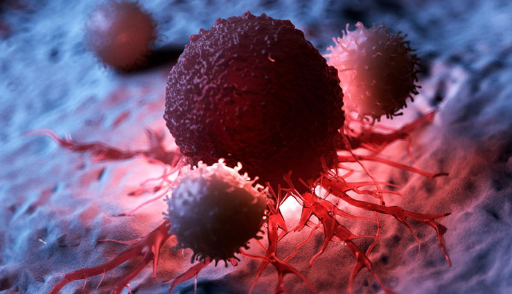 most amazing health benefits of cloves,Health,healthy living,healthy food cloves,cloves benefits for health,healthy living,Health tips,health news