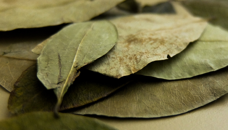 coca leaves,health benefits of coca leaves,Health tips,fitness tips