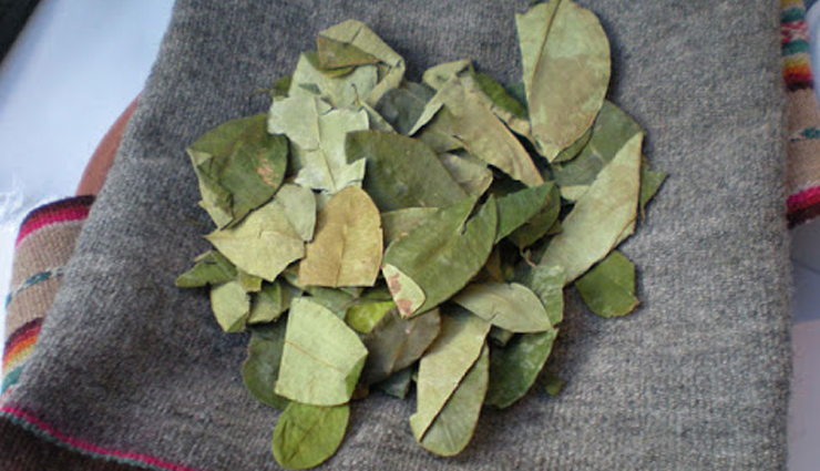 coca leaves,health benefits of coca leaves,Health tips,fitness tips
