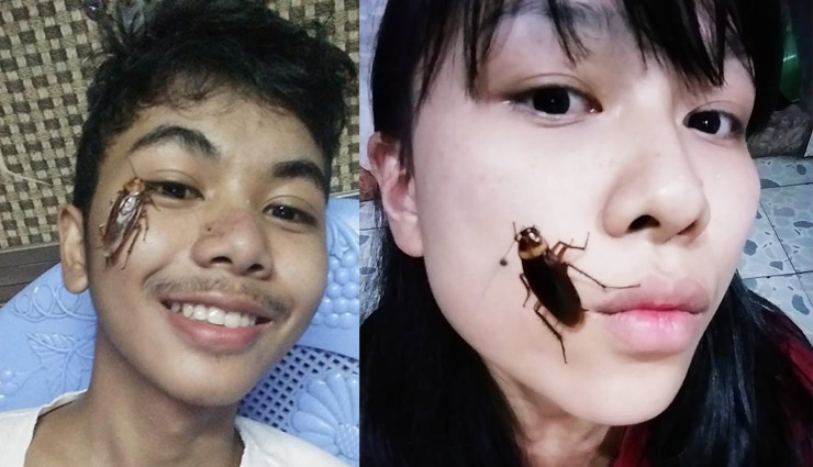 cockroach challenge,cockroach challenge viral,cockroach challenge viral on internet,cockroach on face,cockroach latest challenge,internet latest challenge,bizarre challenge,alex aung