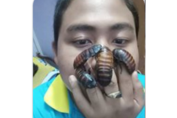 cockroach challenge,cockroach challenge viral,cockroach challenge viral on internet,cockroach on face,cockroach latest challenge,internet latest challenge,bizarre challenge,alex aung