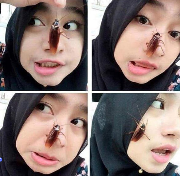 cockroach challenge,cockroach challenge viral,cockroach challenge viral on internet,cockroach on face,cockroach latest challenge,internet latest challenge,bizarre challenge,alex aung