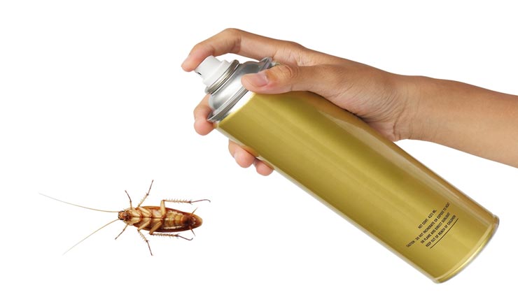 Diwali 2019: इन आसान उपायों की मदद से करें कॉकरोच का सफाया, बचेंगे बिमारियों से