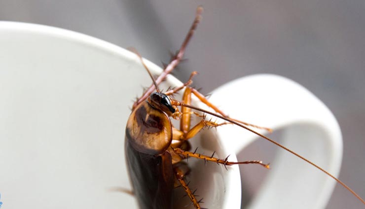 honeymoon trip,hotel selection tips on honeymoon,honeymoon tips,issues with hotels