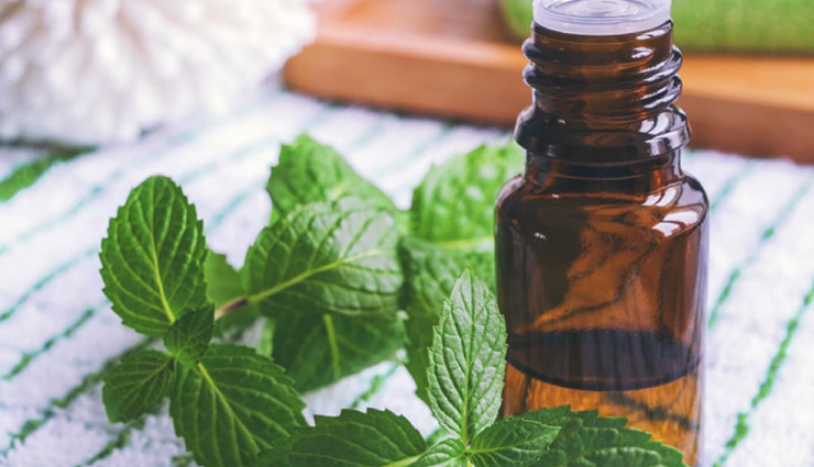 boric acid,baking soda,neem,peppermint oil,bay leaves,remedies to get rid of cockroaches,cockroaches,household tips