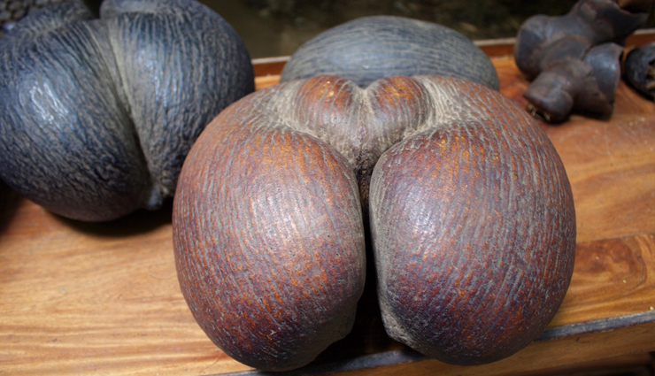 seychelles,things you can buy only in seychelles,seychelles market,coco de mer,yi-king essential oils,kreolor jewellery craft,shark chutney,seybrew,takamaka rum,travel,holidays,travel guide,travel tips