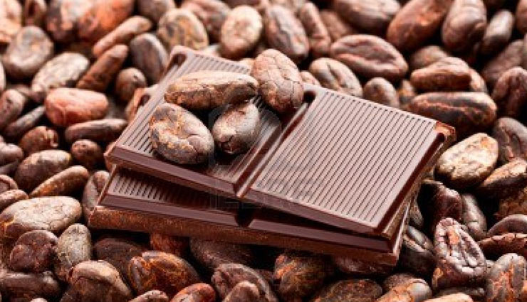Health tips,healthy living,5 benefits of eating raw chocolate,benefits of eating cocoa seeds