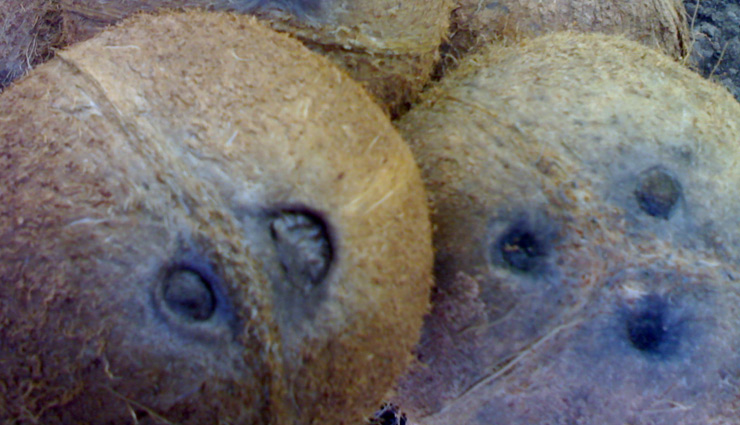 right direction to keep things,vastu to keep things,vastu direction to place things,vastu tips for home,vastu tips for prosperity