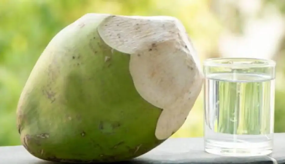 क्या नारियल पानी पीकर घटाया जा सकता है वजन? जानिए वेट लॉस में इसके फायदे