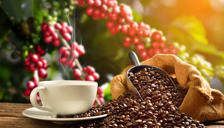 फेफड़ों को नुकसान पहुंचा रहा हैं प्रदूषण, ये 8 सुपरफूड बचाएंगे हानिकारक प्रभाव से Health tips,health tips in hindi,healthy lung,healthy food