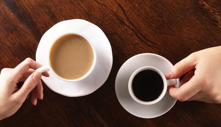 food dangerous for your dogs,dog health tips