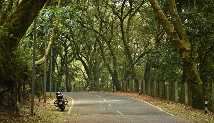 6 Road Trips You Can Take From Coimbatore