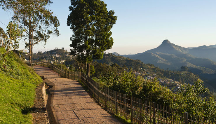 kodaikanal,places to visit kodaikanal,kodaikanal tourist places,kodaikanal tourism,holidays,travel guide,travel tips