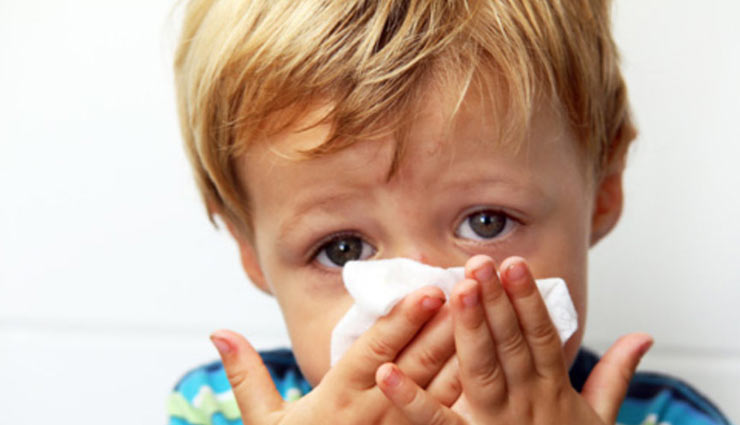 बहती हुई नाक से है परेशान तो अपनाए ये घरेलू उपाय, मिलेगा फ़ायदा