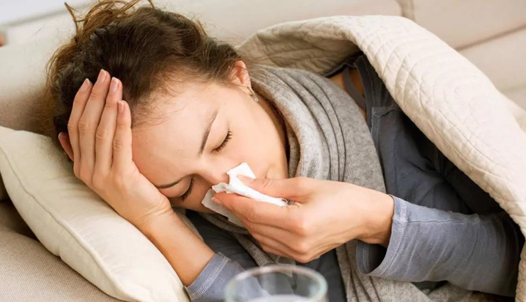 kiwi,health benefits of kiwi,kiwi fruit,kiwi healthy food,kiwi for good health,healthy living,healthy food kiwi,kiwi benefits,Health tips