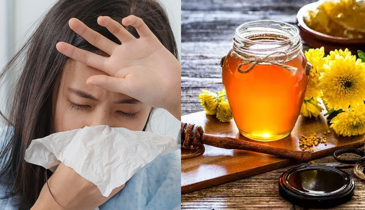 खांसी-जुकाम से हैं परेशान, छुटकारा पाने के लिए शहद करेगा आपकी मदद; ऐसे करें इस्तेमाल
