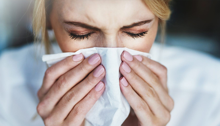 siberian ginseng,siberian ginseng health benefits,health benefits of siberian ginseng,7 health benefits of siberian ginseng,siberian ginseng healthy food,siberian ginseng benefits to health,healthy living,Health tips