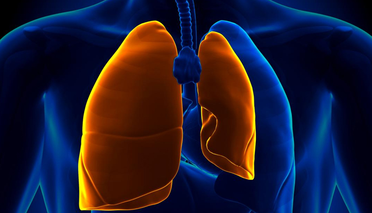 15 Natural Remedies for Atelectasis in Lungs
