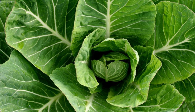 vitamin c foods,foods rich in vitamin c,vitamin c sources,top vitamin c-rich foods,high vitamin c fruits,best vegetables for vitamin c,citrus fruits with vitamin c,vitamin c-rich diet,immune-boosting foods,antioxidant-rich foods,skin health foods,collagen-boosting diet,natural vitamin c sources,healthy fruits for vitamin c,vitamin c benefits,vitamin c in food,foods to boost immunity,vitamin c content in foods,vitamin c-rich recipes,creative ways to use vitamin c foods,nutrient-packed fruits and vegetables,eat for better health,fresh produce with vitamin c,vitamin c and wellness,dietary sources of vitamin c,best vitamin c-rich snacks,nutritional benefits of vitamin c,immunity-boosting diet plan,healthy eating for radiant skin,foods for strong bones,blood vessel health foods,delicious vitamin c-rich meals,balanced nutrition for vitality,tasty vitamin c-rich options,supercharge your health with vitamin c,vitamin c-packed food guide,incorporating vitamin c into your diet,nutrient-dense foods for wellness,nourishing your body with vitamin c