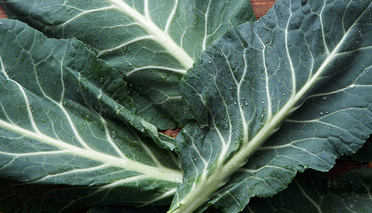 calcium rich veggies you must eat regularly,healthy living,Health tips