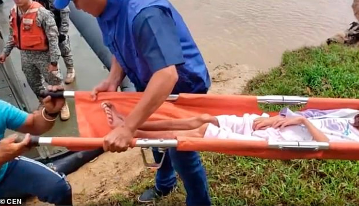 mother,children,jungle,colombian,weird news