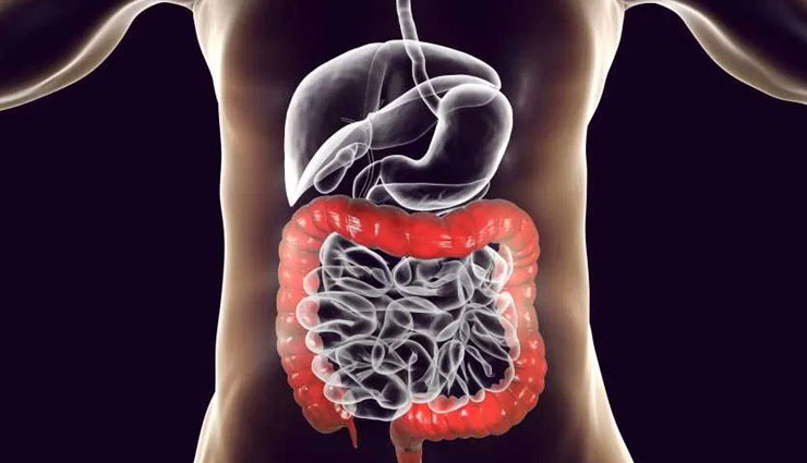 colon,colon cleaning tips,Health tips,fitness tips,home remedies,remedies to clean colon