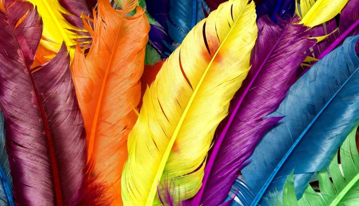 vastu tips,vastu tips in hindi,vastu color therepy