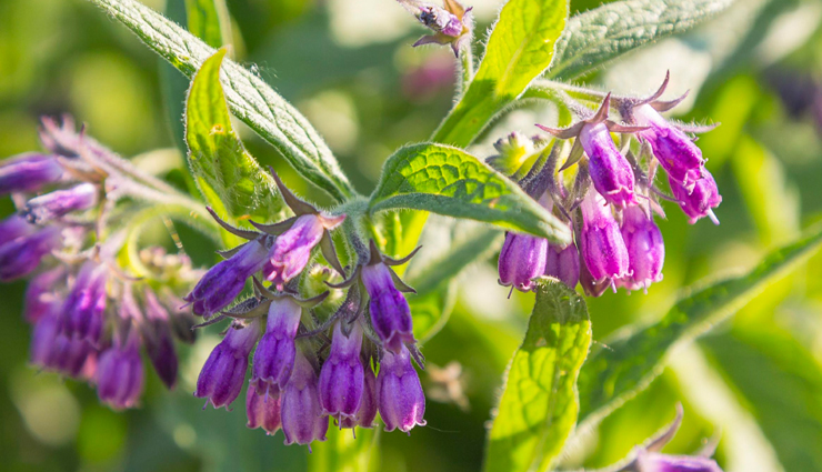 finger burns at home,treat finger burns at home,finger burns,Health,Health tips