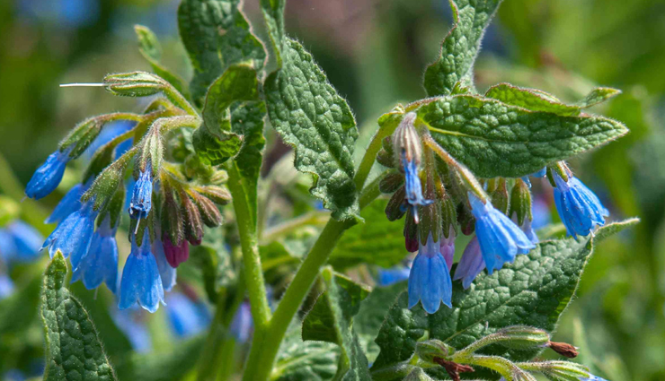 fingers,treat burns on fingers,fingers,finger care,Health,Health tips