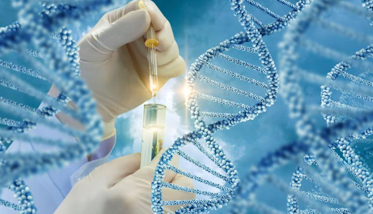 things to do before conceiving,pregnancy tips,Health tips,fitness tips