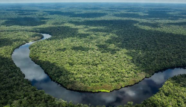 largest forests in the world,worlds biggest forests,top 10 largest forests,giant forests on earth,biggest woodland ecosystems,vast forested regions,earths grand forests,largest forested areas,forest biomes worldwide,expansive woodland landscapes