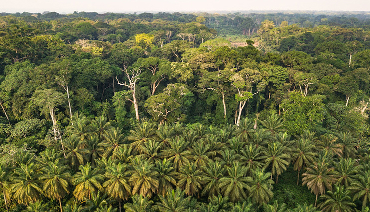 most dangerous jungles in world,holidays,travel