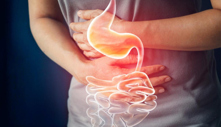 reddish,reddish health,reddish healthy food,disadvantages of eating reddish,Health,Health tips