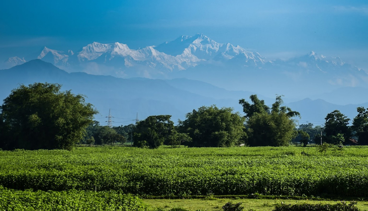 tea gardens of india,tea gardens,india tea gardens,darjeeling,assam,munnar,nilgiri tea plantations,tamil nadu,darang tea estate,himachal pradesh,kelagur tea estate,karnataka,travel,travel guide,travel tips,holidays