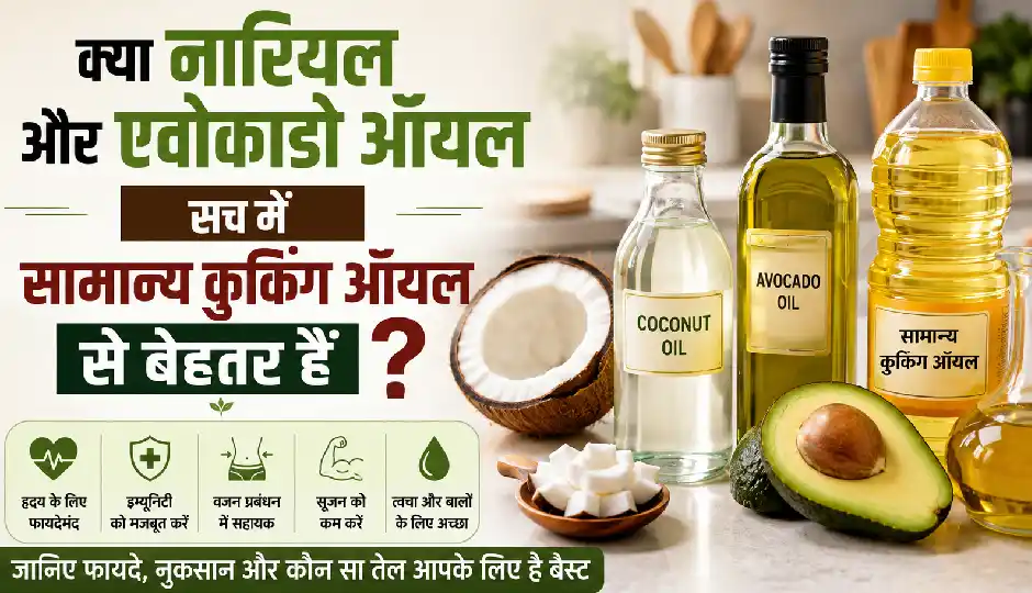 क्या नारियल और एवोकाडो ऑयल सच में सामान्य कुकिंग ऑयल से बेहतर हैं? जानिए सेहत के लिए कौन-सा तेल है सही विकल्प